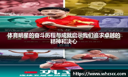 体育明星的奋斗历程与成就启示我们追求卓越的精神和决心