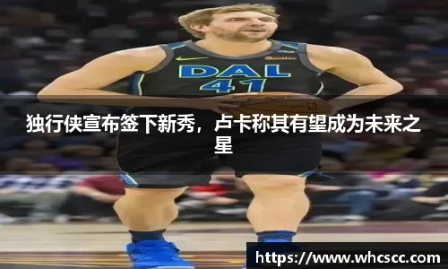 bsports官网入口