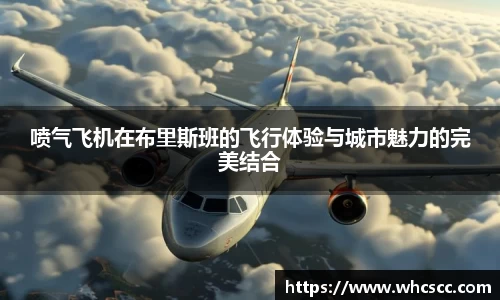 喷气飞机在布里斯班的飞行体验与城市魅力的完美结合